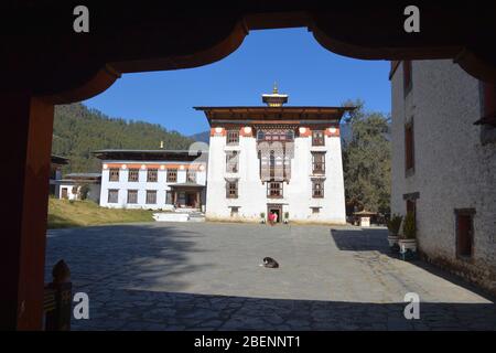 Une école pour les moines bouddhistes près de Thimphu, Bhoutan. Banque D'Images