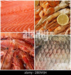 photo composite de fruits de mer devant un fond blanc Banque D'Images