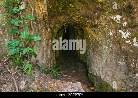 Entrée de l'ADIT au tunnel souterrain de la mine d'or dans la gorge de Karangahake, Crown Tramway Track, Waikato Region, Île du Nord, Nouvelle-Zélande Banque D'Images