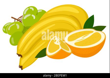 Composition à partir de divers fruits exotiques frais orange, banane, raisin Illustration de Vecteur