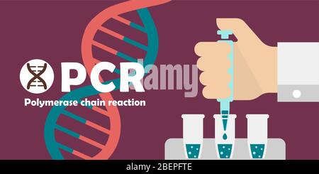Illustration de la bannière de test PCR (réaction en chaîne de la polymérase) / coronavirus Novel Illustration de Vecteur