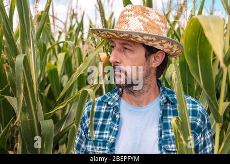 Portrait d'agriculteur de maïs grave champ de maïs. D'agronome et de l'ouvrier agricole qui pose à plantation. Banque D'Images