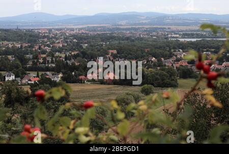 Vue depuis le Koitsche (375 mètres de haut de colline boisée avec auberge de montagne) à la ville de Zittau dans le? U ? Premier sud-est de Saxe dans le Dreil? Ndereck Allemagne-Pologne, prise le 20.08.2019. Photo: Peter Zimmermann | usage dans le monde entier Banque D'Images