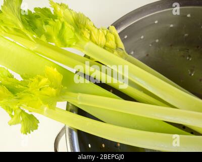 Tiges de céleri lavées avec des feuilles dans une passoire en acier inoxydable sur une nappe blanche Banque D'Images