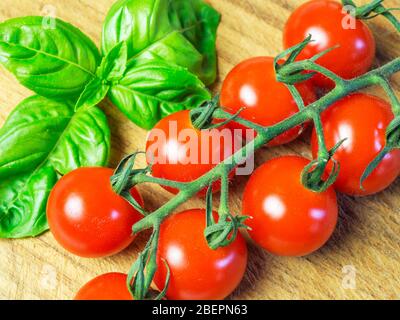 Tomates cerises Vittoria sur la vigne avec feuilles de basilic frais sur une planche à découper en bois Banque D'Images