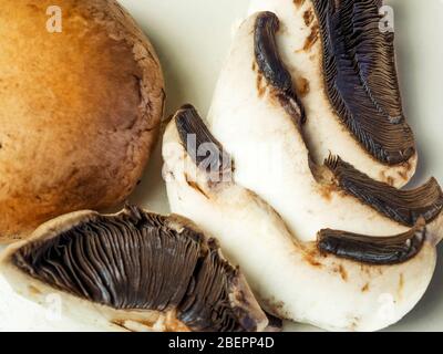 Champignons et tranches de châtaigniers sur une plaque Banque D'Images