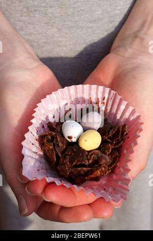 Gâteaux de Pâques au chocolat Banque D'Images