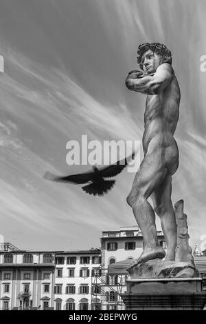 Un oiseau volant passe par la réplique de la célèbre statue de David de Michel-Ange, la place Piazza della Signoria, Florence, Italie, en noir et blanc Banque D'Images