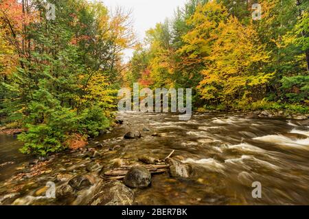 Hoffman Notch Brook en automne, près du nord de l'Hudson, comté d'Essex, NY Banque D'Images