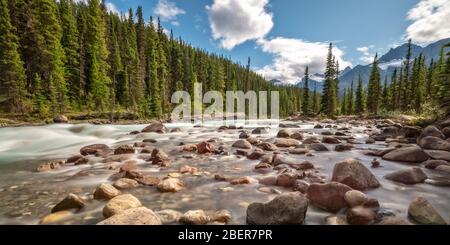 Rivière Mistaya sur la promenade Icefields dans le parc national Banff, Alberta, montagnes Rocheuses, Canada Banque D'Images