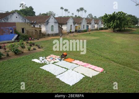 16 février 2020, São Tomé et Príncipe, Sundy: Sur l'ancienne plantation "Roca Sundy", une femme met une buanderie à sécher sur un pré devant les anciennes maisons d'esclaves, également appelées Sanzalas. Photo: Sebastian Kahnert/dpa-Zentralbild/dpa Banque D'Images