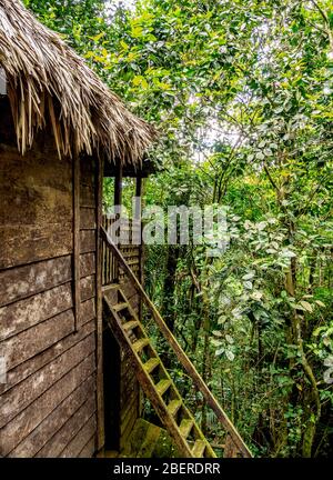 Casa de Fidel, Maison de Fidel Castro, Comandancia de la Plata, Sierra Maestra, province de Granma, Cuba Banque D'Images