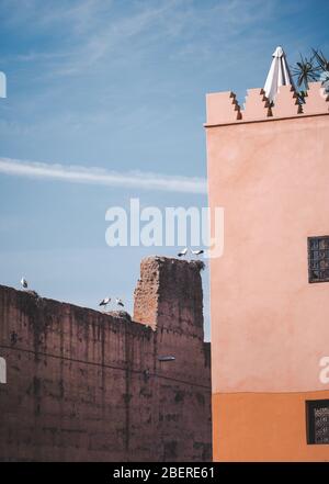 Deux Storks blancs sur un nid de bâton et bâtiment ruiné du palais de Badi dans la médina de Marrakech Maroc, Afrique du Nord. Banque D'Images