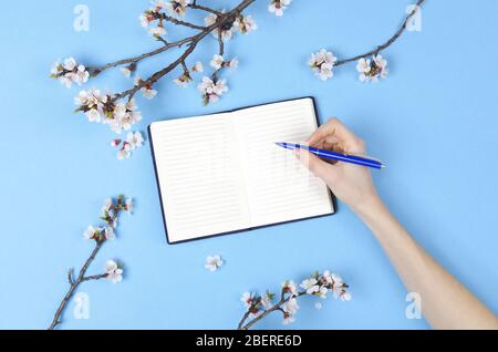 Fille écrivant la liste de souhaits pour les plans futurs. composition de plat avec fleurs, bloc-notes Banque D'Images