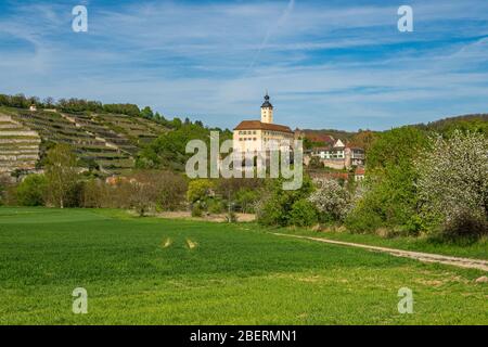 Burg Horneck un magnifique château de Gundelsheim en Allemagne avec herbe et plantes en premier plan Banque D'Images