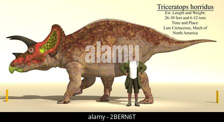 Tableau de référence de taille d'un dinosaure Triceratops horridus. Banque D'Images