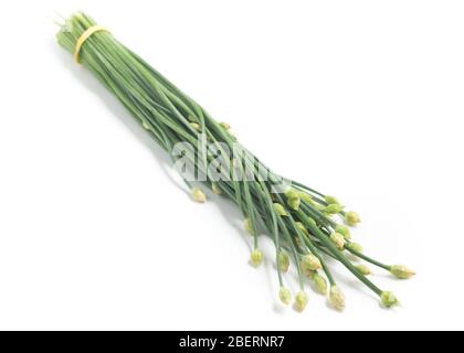 Fleur de ciboulette à l'ail. Nira isolé sur fond blanc Banque D'Images