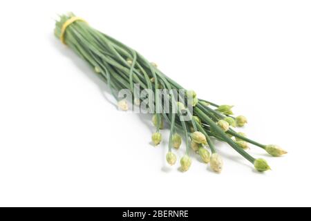 Fleur de ciboulette à l'ail. Nira isolé sur fond blanc Banque D'Images