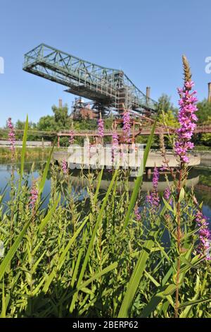 Paysage Park Duisburg; usine d'acier abandonnée, musée en plein air, spectacle léger de Jonathan Park, Duisburg, Rhénanie-du-Nord Westfalia, Allemagne, Europe / Duisb Banque D'Images