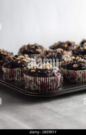 Muffins aux noix dans un plateau Banque D'Images