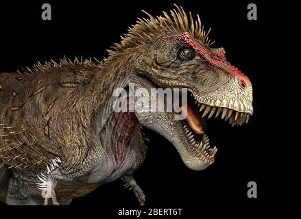 Tyrannosaure rex dinosaure, vue sur le profil. Banque D'Images