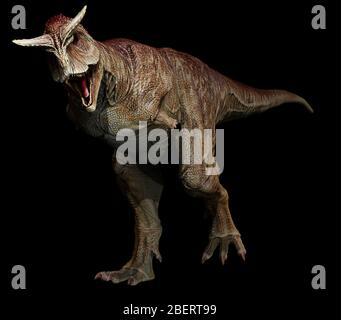 Dinosaure Carnosaurus sur fond noir. Banque D'Images