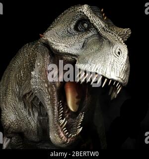 Tête de dinosaure Tyrannosaure rex, vue avant. Banque D'Images