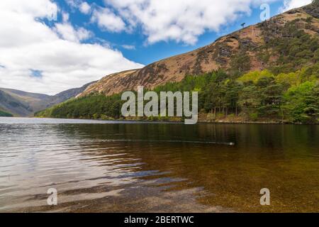 Lac supérieur à Glendalough, comté de Wicklow, Irlande. Banque D'Images