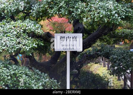 Palais impérial de Kyoto, 3 Kyotogyen, quartier Kamigyo, Kyoto, 602-0881, Japon Banque D'Images