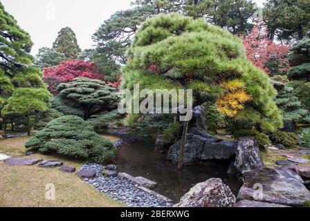 Palais impérial de Kyoto, 3 Kyotogyen, quartier Kamigyo, Kyoto, 602-0881, Japon Banque D'Images