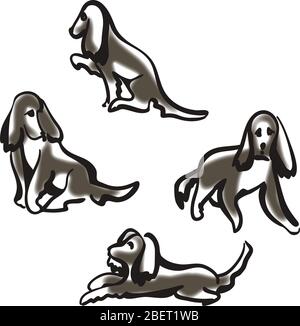 Illustration du vecteur de dessin animé Springer Spaniel pour chien anglais Illustration de Vecteur