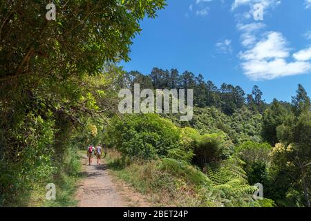 Marcheurs sur un sentier à pied près de la rivière Ohinemuri, de la promenade historique de la gorge de Karangahake, de la gorge de Karangahake, de l'île du Nord, en Nouvelle-Zélande Banque D'Images