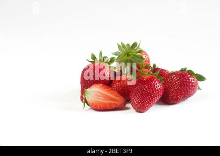 Un ensemble de fraises fraîchement cueillies dans le verger d'Almeria Espagne. Banque D'Images