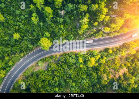 Vue aérienne de la route dans une magnifique forêt verte au coucher du soleil au printemps Banque D'Images