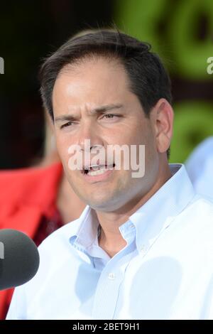 MIAMI, FL - 13 AOÛT : le sénateur républicain Marco Rubio parle lors d'un rassemblement de campagne au El Palacio de Los Jugos le 13 août 2012 à Miami, en Floride. Banque D'Images