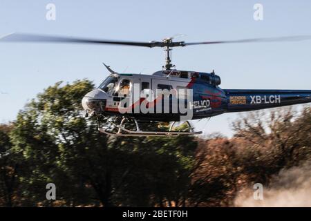 Hélicoptère utilisé par la Conafor, Commission nationale des forêts pour lutter contre les incendies de forêt dans la Sierra de Sonora, au Mexique. Juin 2014... (Photo: LuisGutierrez Banque D'Images