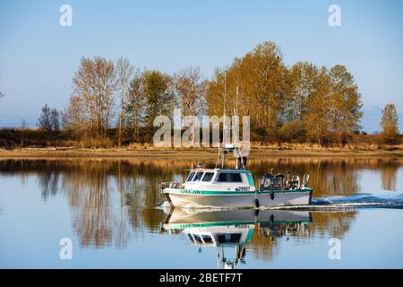 Bateau de pêche retournant au port de Steveston de Georgia Straight Banque D'Images