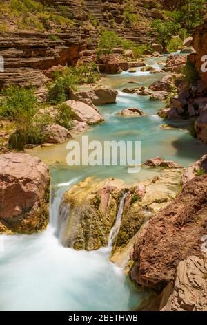 Havasu Creek près du fleuve Colorado, parc national du Grand Canyon, Arizona, États-Unis Banque D'Images