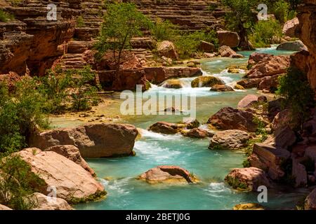 Havasu Creek près du fleuve Colorado, parc national du Grand Canyon, Arizona, États-Unis Banque D'Images