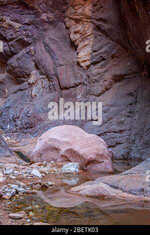 Rochers tachés dans l'eau et bassins réfléchissants dans Blacktail Canyon, Grand Canyon National Park, Arizona, États-Unis Banque D'Images