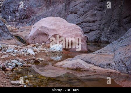 Rochers tachés dans l'eau et bassins réfléchissants dans Blacktail Canyon, Grand Canyon National Park, Arizona, États-Unis Banque D'Images