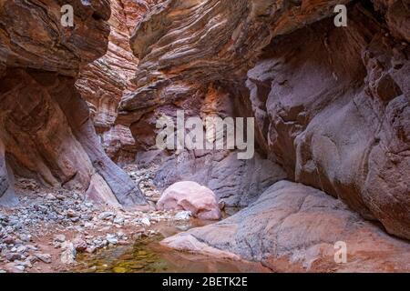 Rochers tachés dans l'eau et bassins réfléchissants dans Blacktail Canyon, Grand Canyon National Park, Arizona, États-Unis Banque D'Images