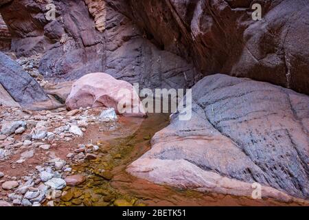 Rochers tachés dans l'eau et bassins réfléchissants dans Blacktail Canyon, Grand Canyon National Park, Arizona, États-Unis Banque D'Images