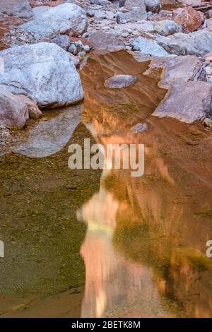 Rochers tachés dans l'eau et bassins réfléchissants dans Blacktail Canyon, Grand Canyon National Park, Arizona, États-Unis Banque D'Images