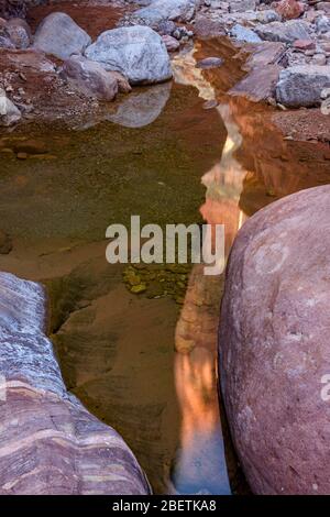 Rochers tachés dans l'eau et bassins réfléchissants dans Blacktail Canyon, Grand Canyon National Park, Arizona, États-Unis Banque D'Images