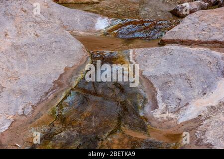 Rochers tachés dans l'eau et bassins réfléchissants dans Blacktail Canyon, Grand Canyon National Park, Arizona, États-Unis Banque D'Images