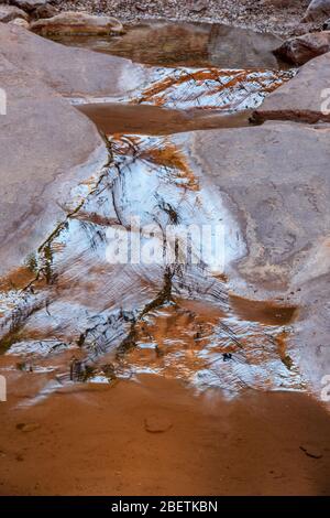 Rochers tachés dans l'eau et bassins réfléchissants dans Blacktail Canyon, Grand Canyon National Park, Arizona, États-Unis Banque D'Images