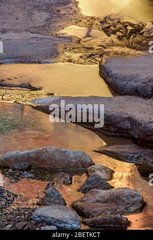 Rochers tachés dans l'eau et bassins réfléchissants dans Blacktail Canyon, Grand Canyon National Park, Arizona, États-Unis Banque D'Images