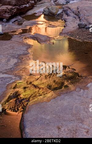 Rochers tachés dans l'eau et bassins réfléchissants dans Blacktail Canyon, Grand Canyon National Park, Arizona, États-Unis Banque D'Images