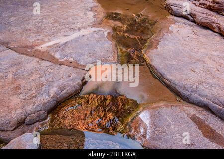 Rochers tachés dans l'eau et bassins réfléchissants dans Blacktail Canyon, Grand Canyon National Park, Arizona, États-Unis Banque D'Images